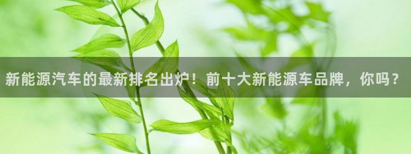 娱乐解说摩根