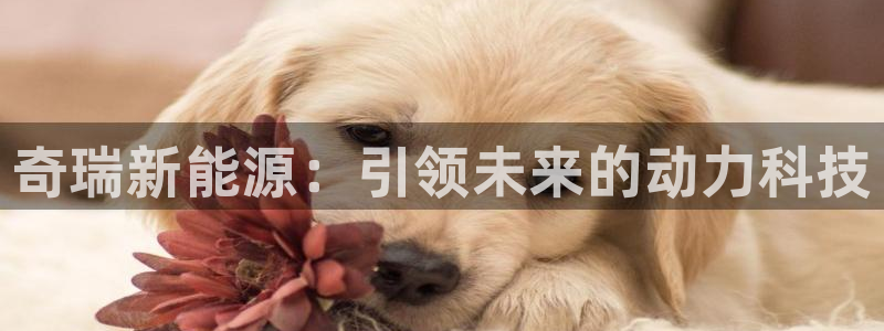 重生娱乐人生莉莉丝摩根
