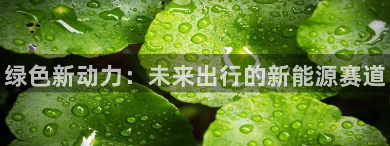 摩根国际娱乐宝合法吗