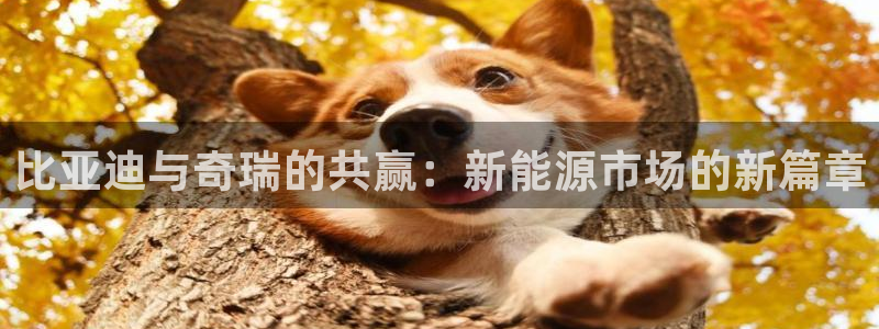 摩根娱乐宝登陆网址