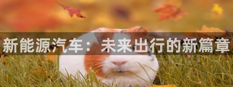 泉州摩根娱乐会所