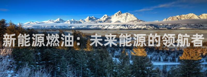 摩根娱乐宝平台下载