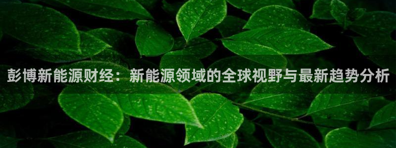 临平摩根娱乐会所电话：彭博新能源财经：新