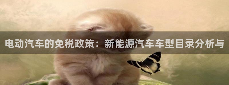摩根娱乐宝怎么注册：电动汽车的免税政策：