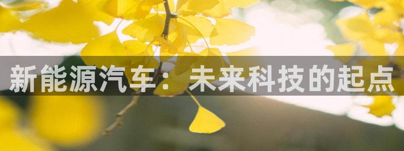 摩根娱乐宝招商：新能源汽车：未来科技的起