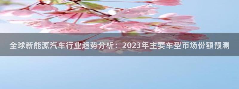 摩根娱乐宝是什么游戏：全球新能源汽车行业
