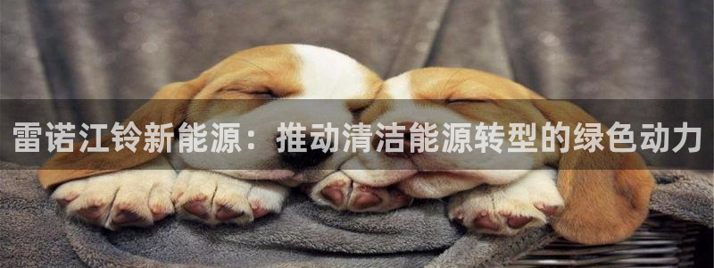 摩根娱乐宝总部