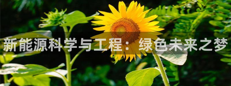 摩根娱乐是什么意思
