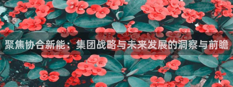泉州摩根娱乐