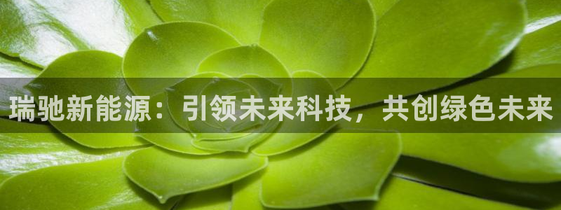 泉州摩根娱乐会所电话号码：瑞驰新能源：引
