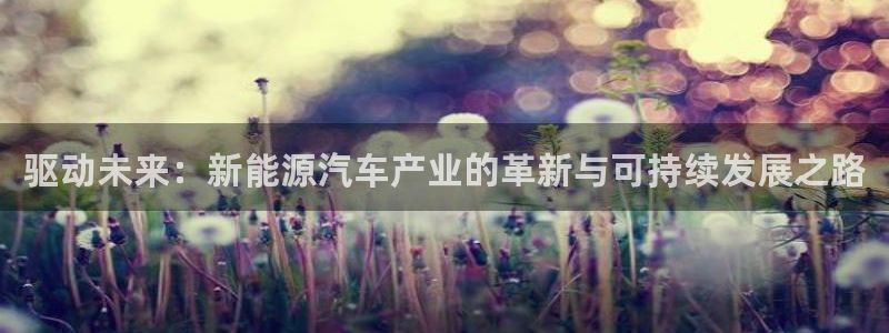 猫眼娱乐摩根士丹利：驱动未来：新能源汽车