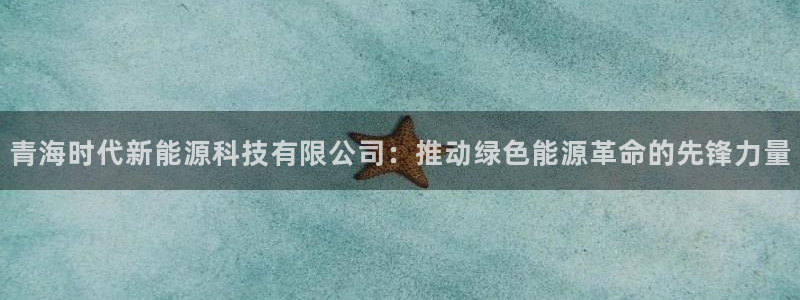 娱乐解说摩根：青海时代新能源科技有限公司