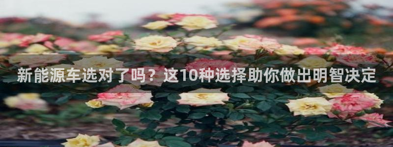 摩根国际娱乐宝进不去