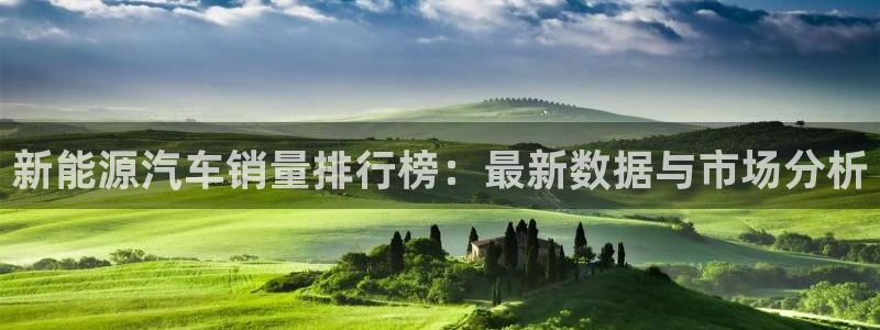 摩根娱乐宝吧：新能源汽车销量排行榜：最新
