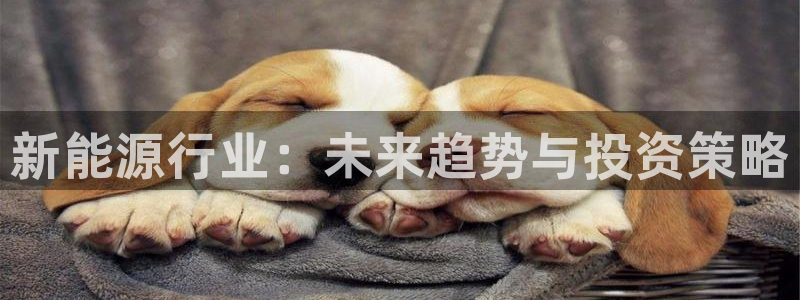 摩根娱乐宝打不开
