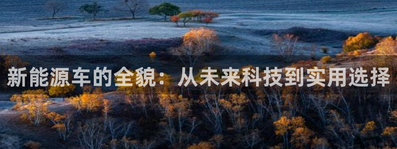 摩根娱乐主管