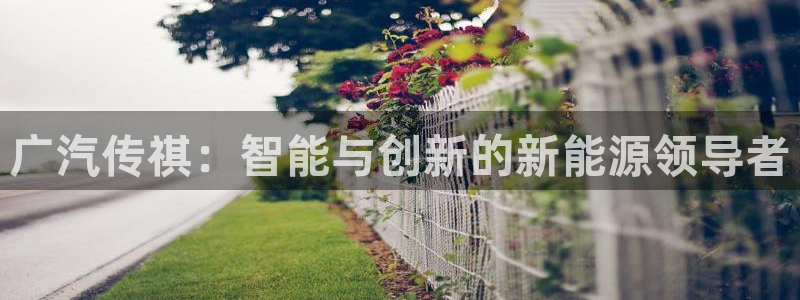 摩根娱乐宝是什么意思