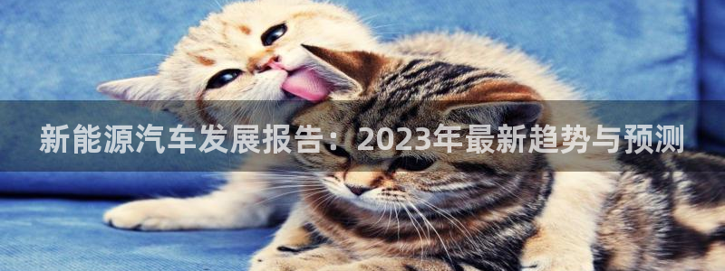 摩根娱乐彩票被骗了