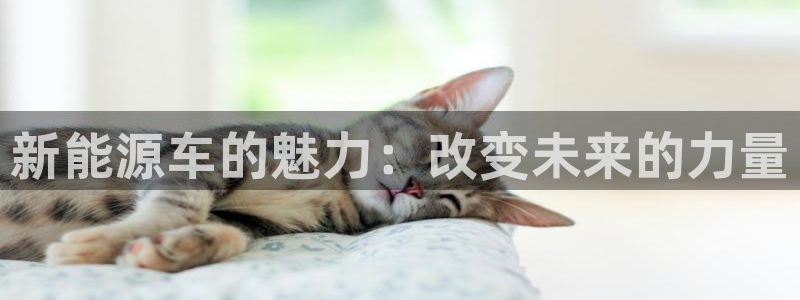 摩根娱乐app