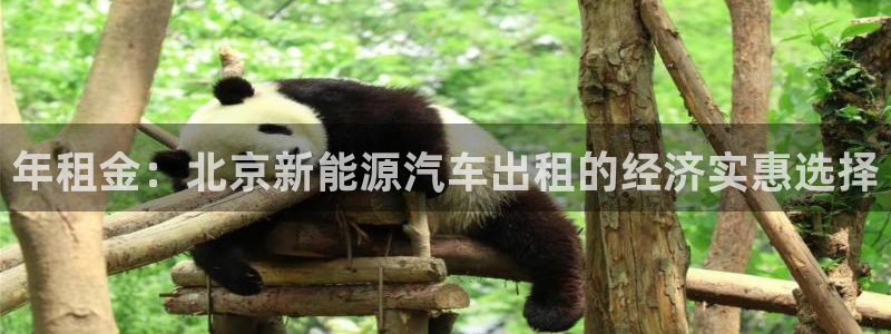 摩根娱乐宝机构代码