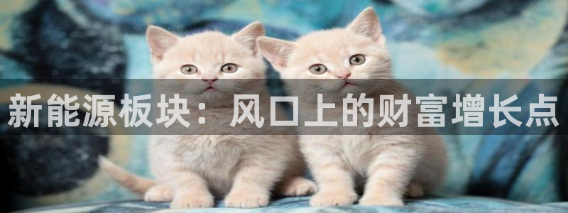 泉州摩根会娱乐