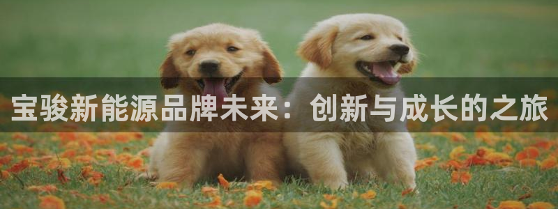 摩根娱乐宝-