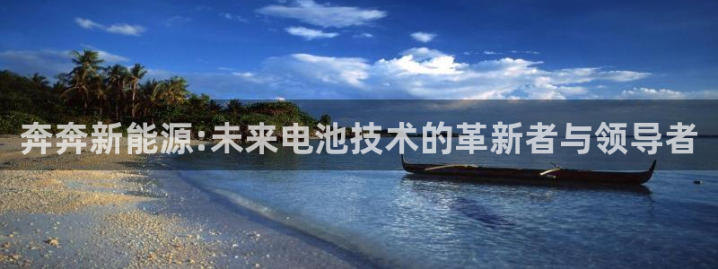 摩根娱乐宝真的假的：奔奔新能源:未来电池