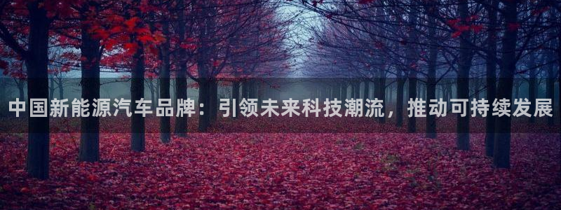 摩根360娱乐:中国新能源汽车品牌:引领未来科技潮流,推动可