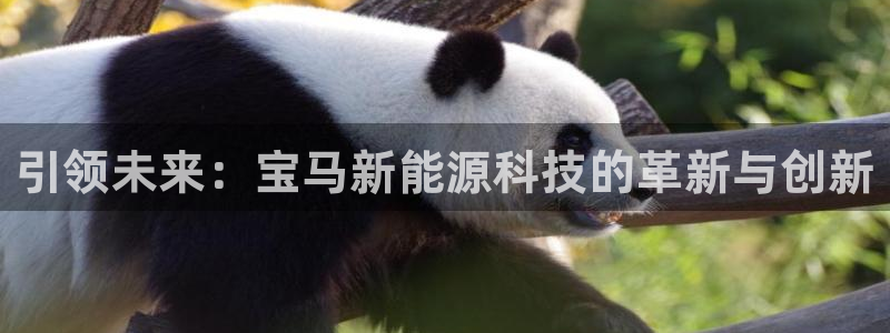 摩根娱乐宝怎么进入：引领未来：宝马新能源