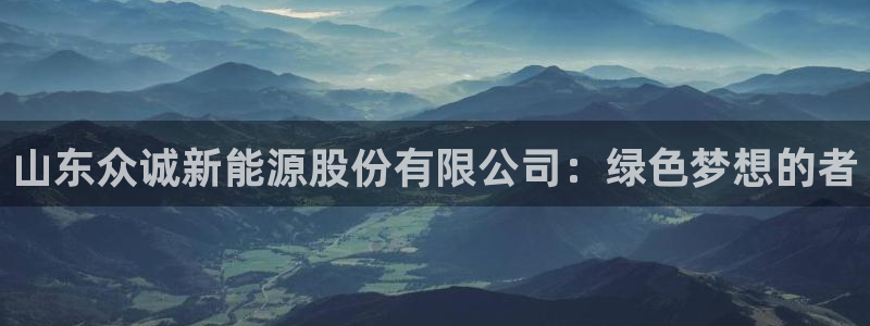 亚瑟摩根娱乐的地方：山东众诚新能源股份有