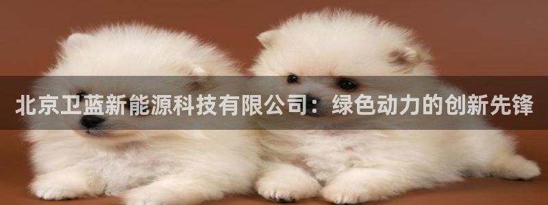摩根娱乐宝教程