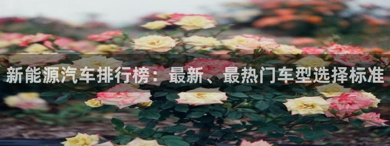 摩根大通会员买金沙娱乐