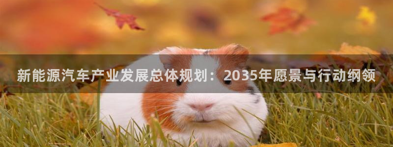 摩根娱乐宝是什么：新能源汽车产业发展总体