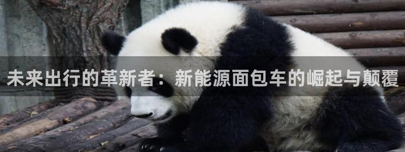 义乌摩根娱乐会所公主：未来出行的革新者：