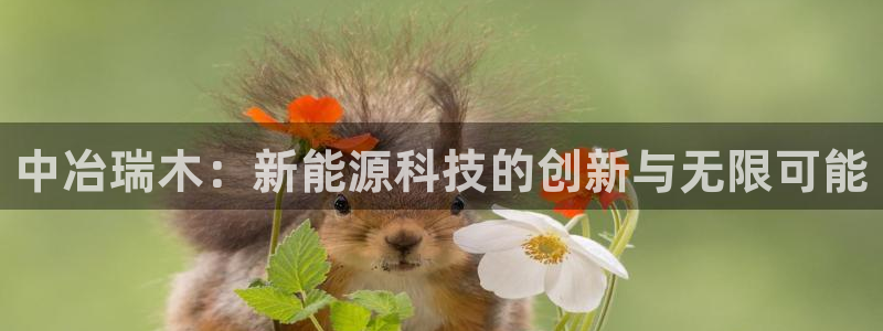 摩根娱乐宝注册：中冶瑞木：新能源科技的创