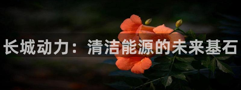 白宫摩根娱乐地址