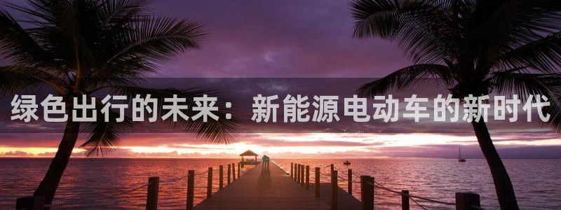 义乌摩根娱乐会所消费:绿色出行的未来:新能源电动车的新时代