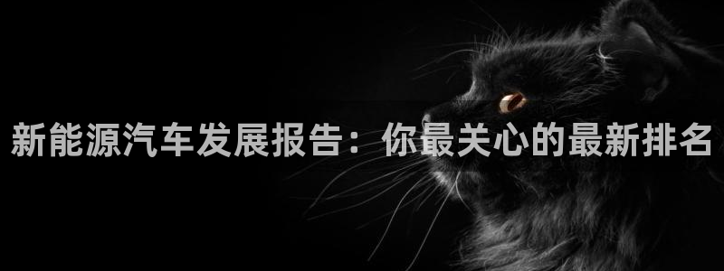 摩根娱乐宝使用操作