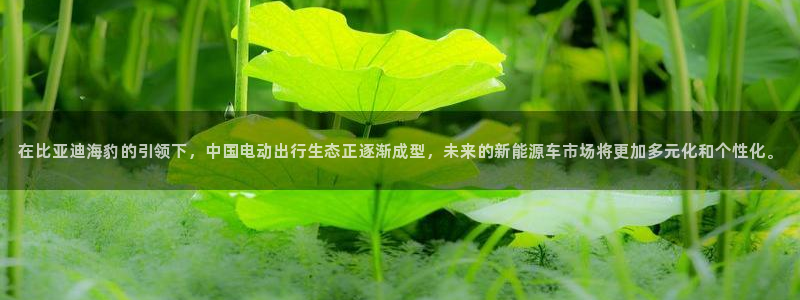 义乌摩根娱乐会所价格