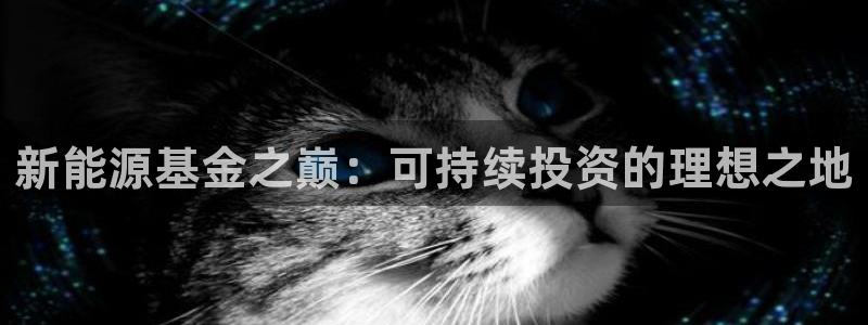 临平摩根娱乐会所电话:新能源基金之巅:可持续投资的理想之地