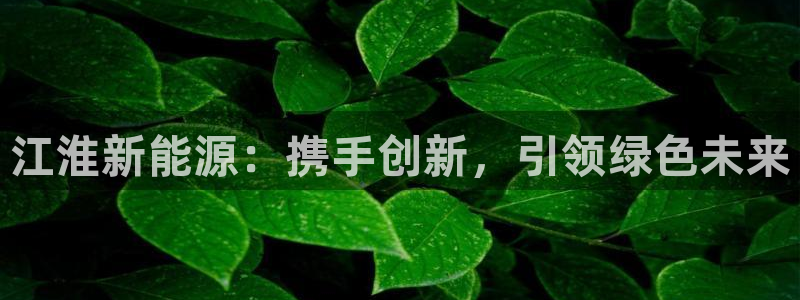 摩根娱乐宝怎么赚钱:江淮新能源:携手创新,引领绿色未来