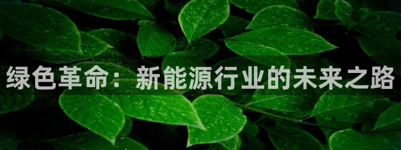 摩根娱乐宝教程