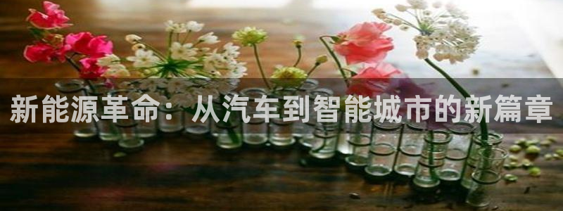 摩根娱乐宝与:新能源革命:从汽车到智能城市的新篇章