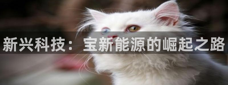 摩根娱乐主管:新兴科技:宝新能源的崛起之路