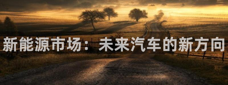 摩根娱乐宝怎么下载:新能源市场:未来汽车的新方向