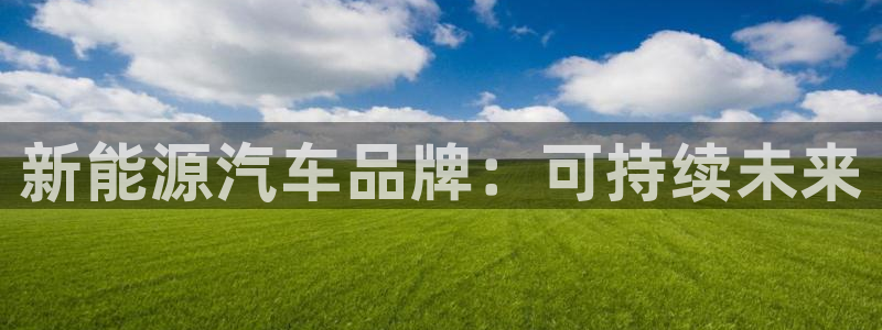 摩根娱乐宝机构代码