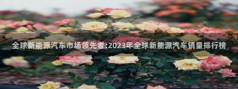 摩根娱乐是什么:全球新能源汽车市场领先者:2023年全球新能
