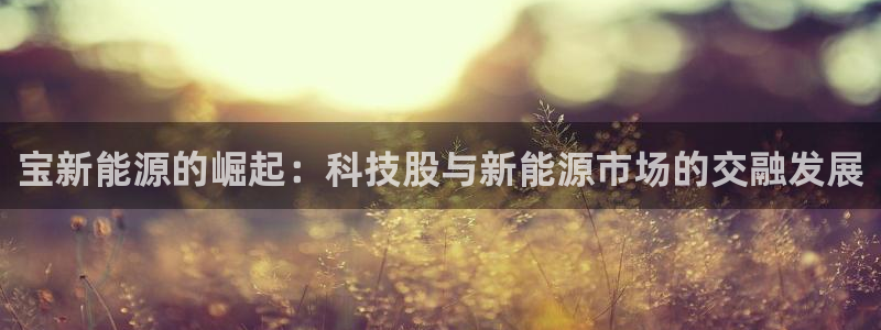 香港摩根娱乐:宝新能源的崛起:科技股与新能源市场的交融发展