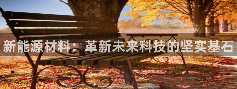 摩根娱乐宝是诈骗吗:新能源材料:革新未来科技的坚实基石