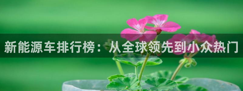 摩根娱乐注册m总管